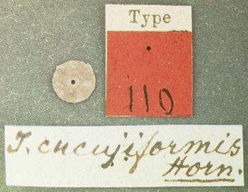 Media type: image;   Entomology 110 Aspect: labels